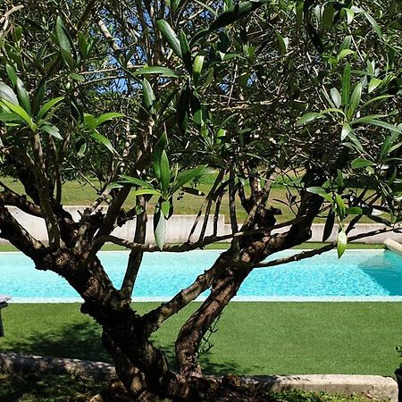Chambre Saint Emilion - Le Clos D'Antan Les Artigues-de-Lussac Esterno foto
